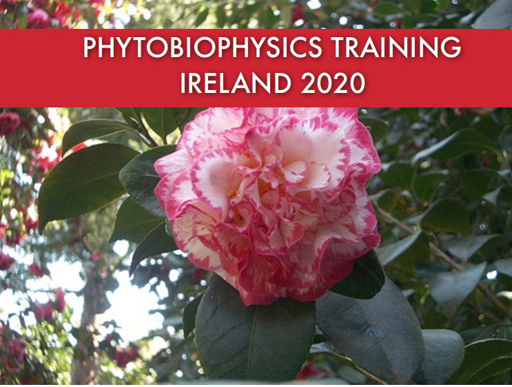 Phytobiophysics Training in Ireland – Spring 2020